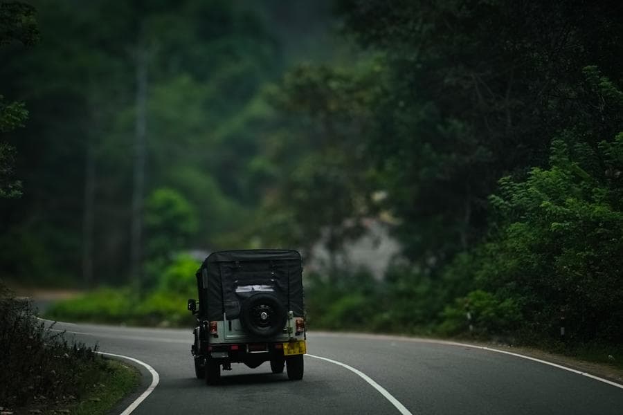 Forest road through Thekkady
